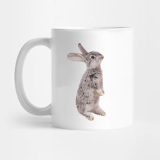 Rabbit 12 Mug